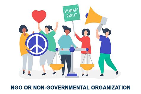 The roles of activist NGOs in the development and transformation 